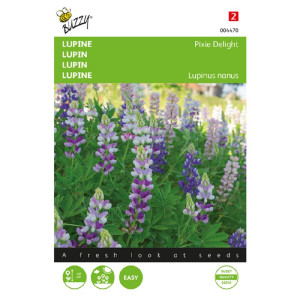 Lupine-Buzzy® Lupinus,...