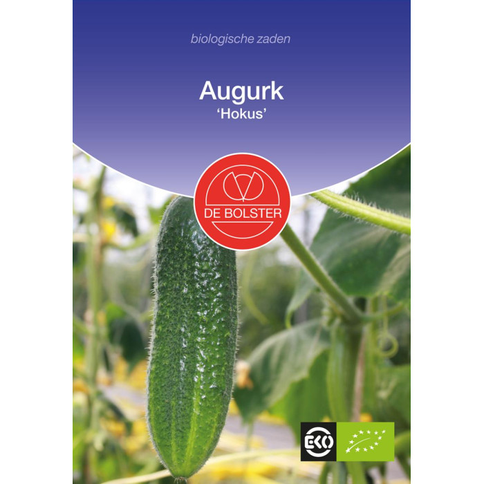 Kornison-Augurk 'Hokus' Cucumis sativus-BS1030