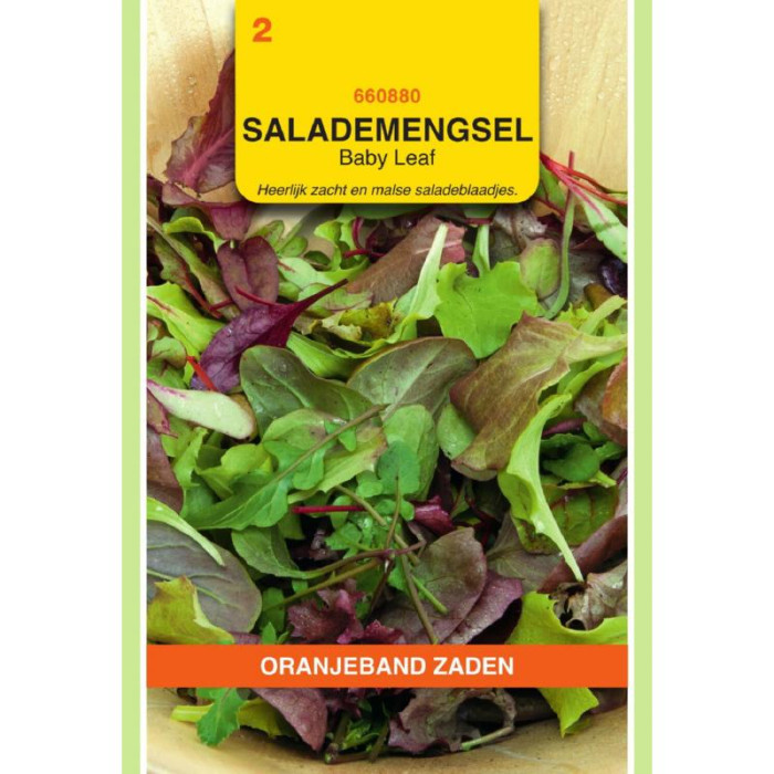 Salata-Baby-OBZ Salata Mix Babyleaf-OBZ660880