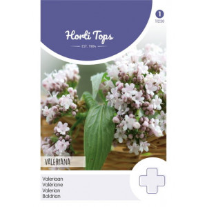 Valeriana-HT Echte...