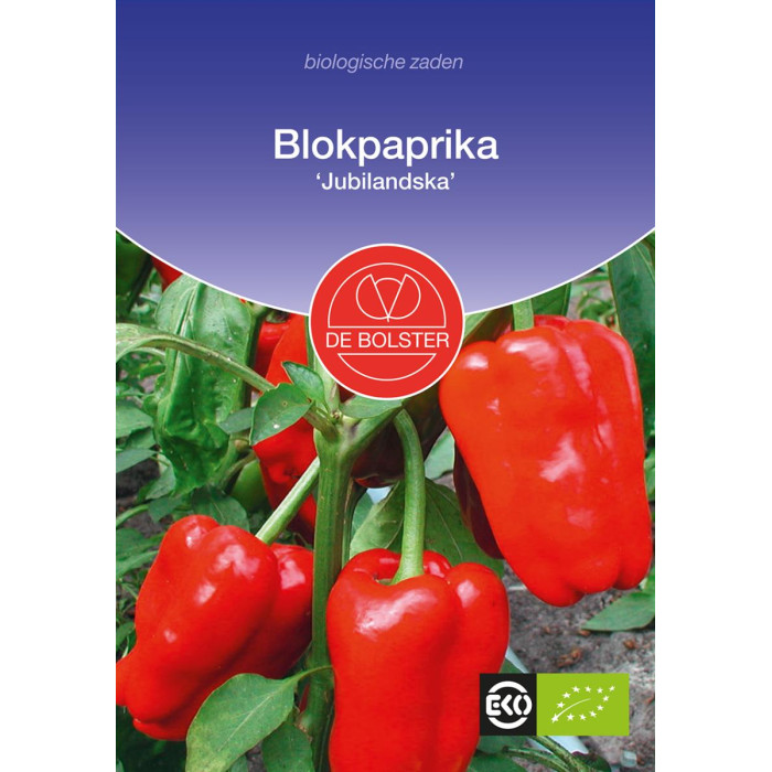 Paprika-crvena-Blokpaprika 'Jubilandska'-BS1620