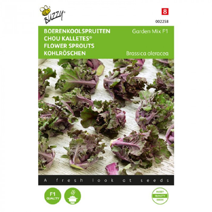 Kelj-mini-Bebibilje-Boerenkoolspruitjes, Kalettes® Garden Mix F1-BZ002258