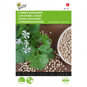 Coriander-Citrun-niski-Cori...