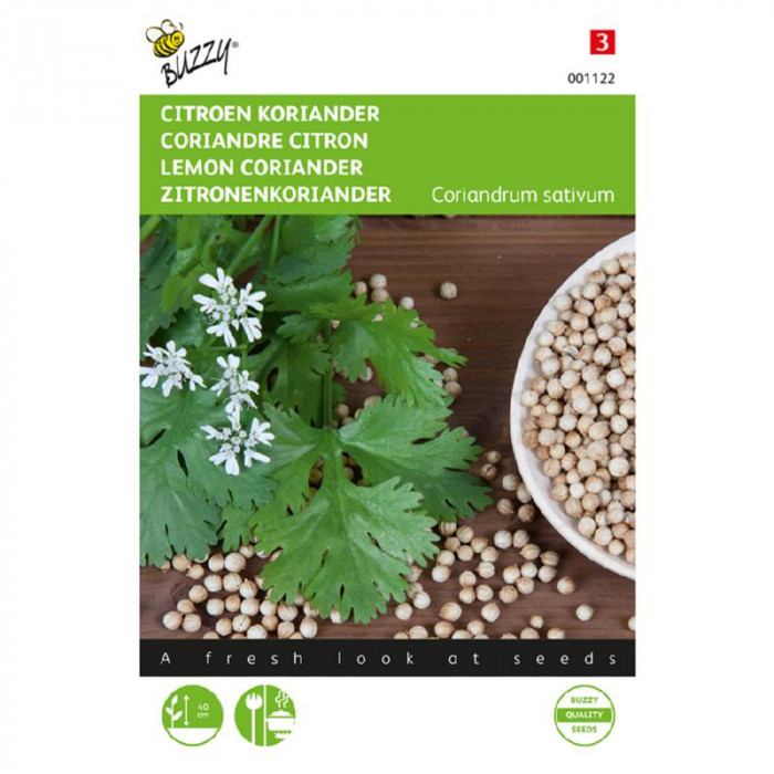 Coriander-Citrun-niski-Coriander Lemon low-BZ001122