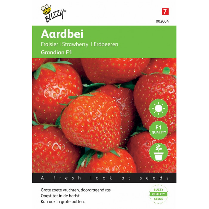 Jagode-Gardian F1-Buzzy® Strawberries Grandian F1-BZ002004