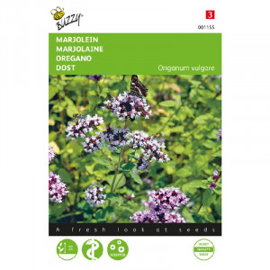 Marjoram-Oregan-Marjolein -...