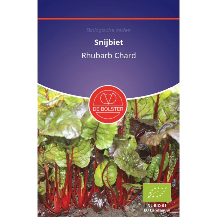 Blitva-red-Chard-crvena-De-Bolster-Snijbiet-Rhubarb-Chard-BS1910