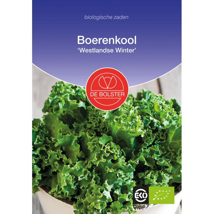 Kelj-Boerenkool-Westlandse Winter-BS1450