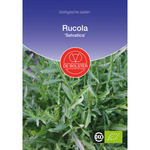 Rukola-Rucola 'Selvatica'...