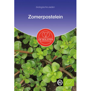 Zomerpostelein Portulaca...