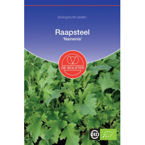 Repa-Raapsteel -...