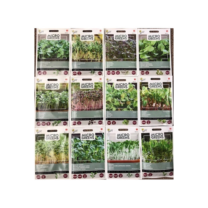 Microgreens-Starter package-12X1-BZ080841