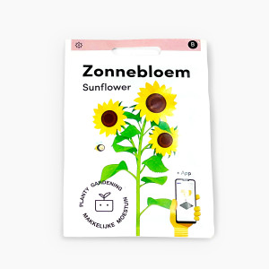 Suncokret-Zonnebloem-MM-exc...