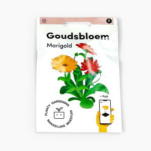 Neven-Goudsbloem-MM-exclusive