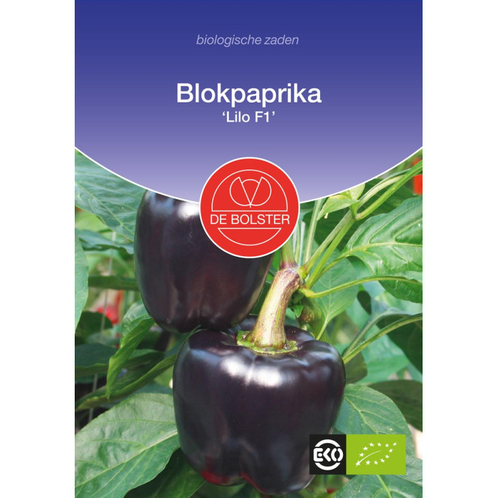 Paprika-babura-Blok paprika-Lilo-F1-BS1623