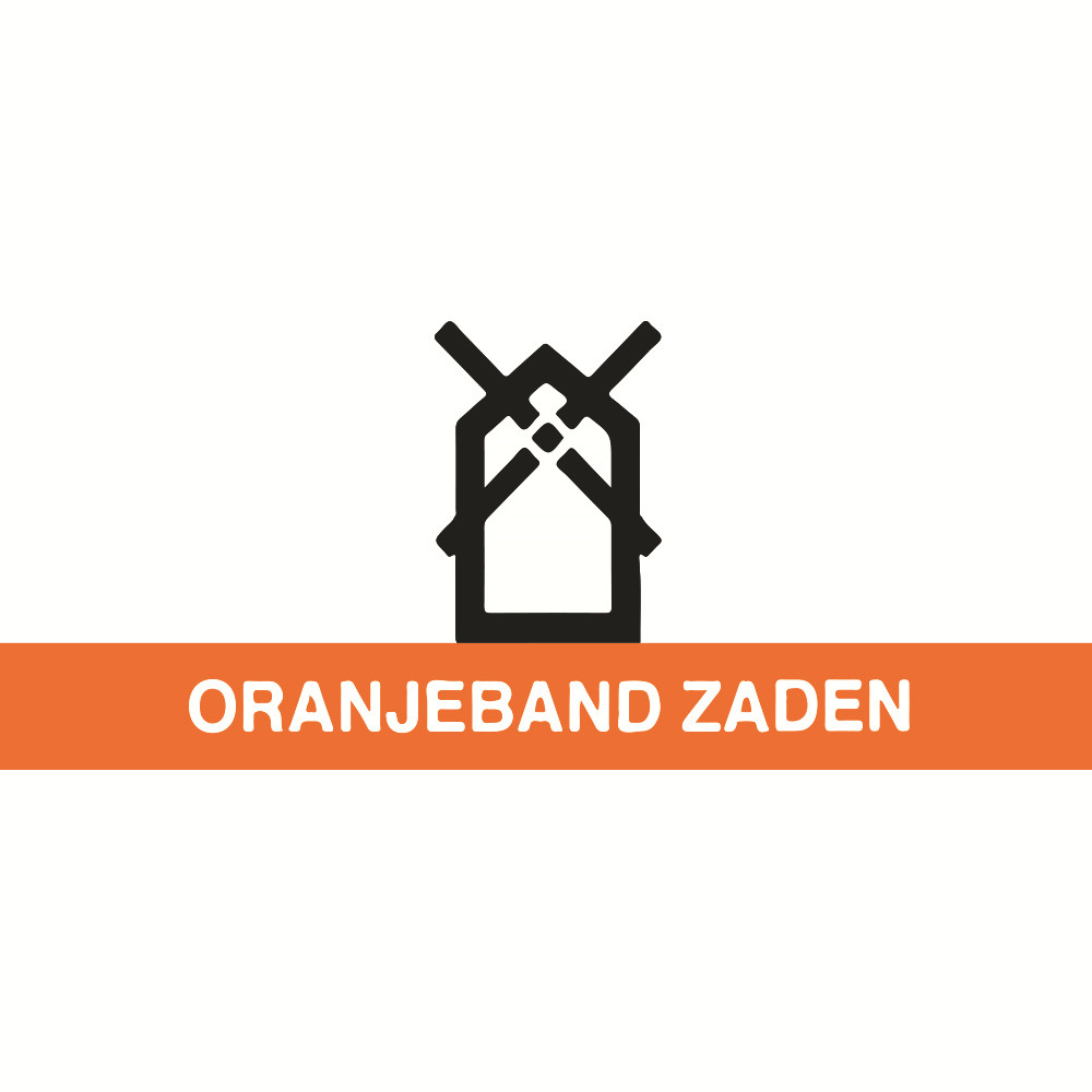 Oranjeband Zaden